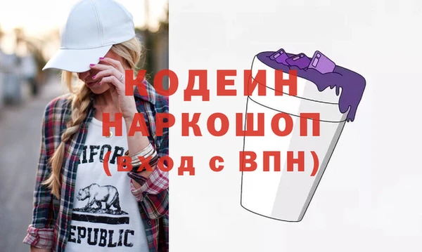 соль ск Дмитриев