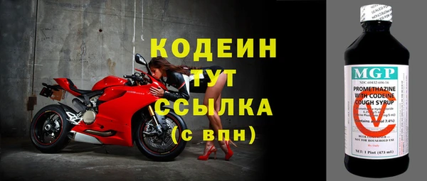 соль ск Дмитриев