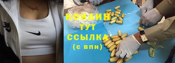 соль ск Дмитриев