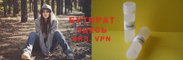 соль ск Дмитриев