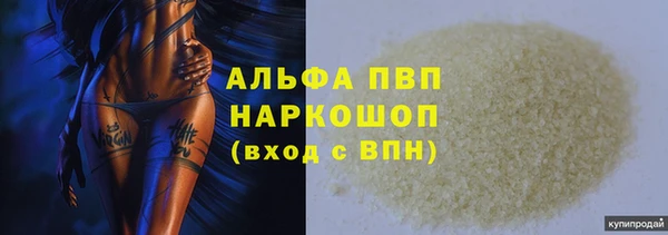 соль ск Дмитриев