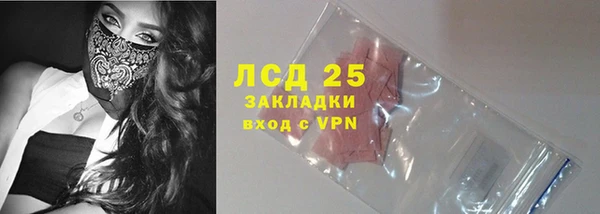 соль ск Дмитриев