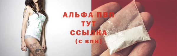 соль ск Дмитриев