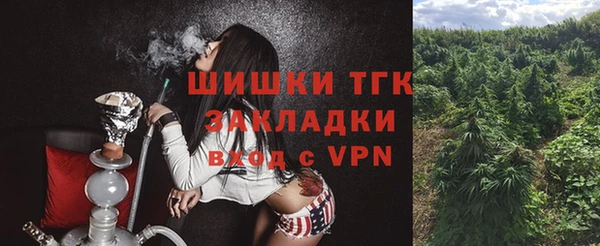 соль ск Дмитриев
