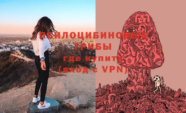 соль ск Дмитриев