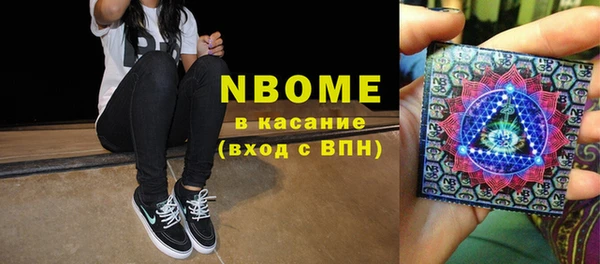 соль ск Дмитриев