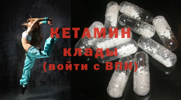 соль ск Дмитриев